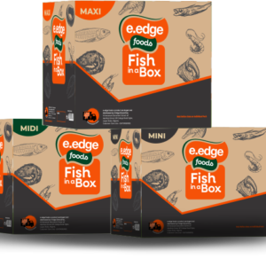 Fish in a Box (MAXI)